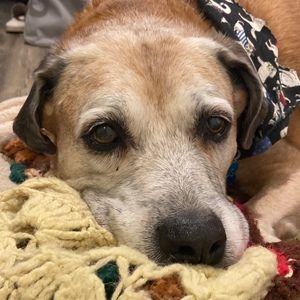 Meet your Posher, Keaton